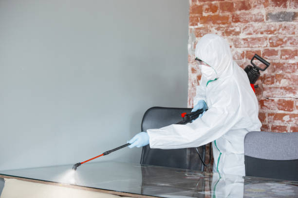 Why You Should Choose Our Mold Remediation Services in Lyons, OR